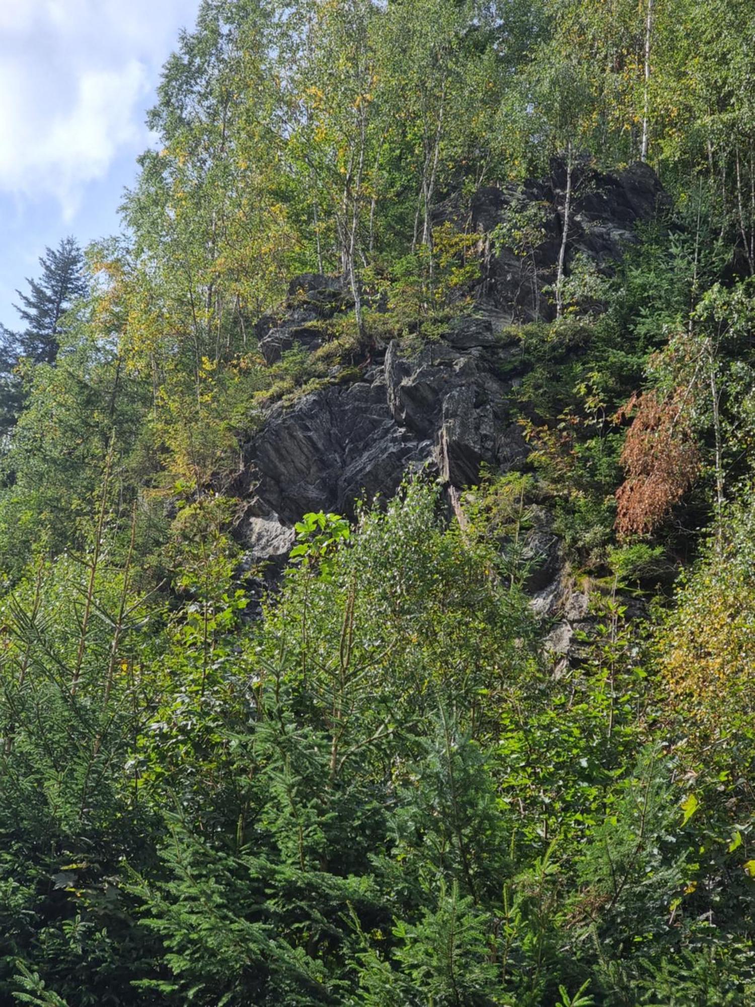 Roubenka Mlyn U Skaly Destne V Orlickych Horach Volne Terminy 5 Bytu Extérieur photo