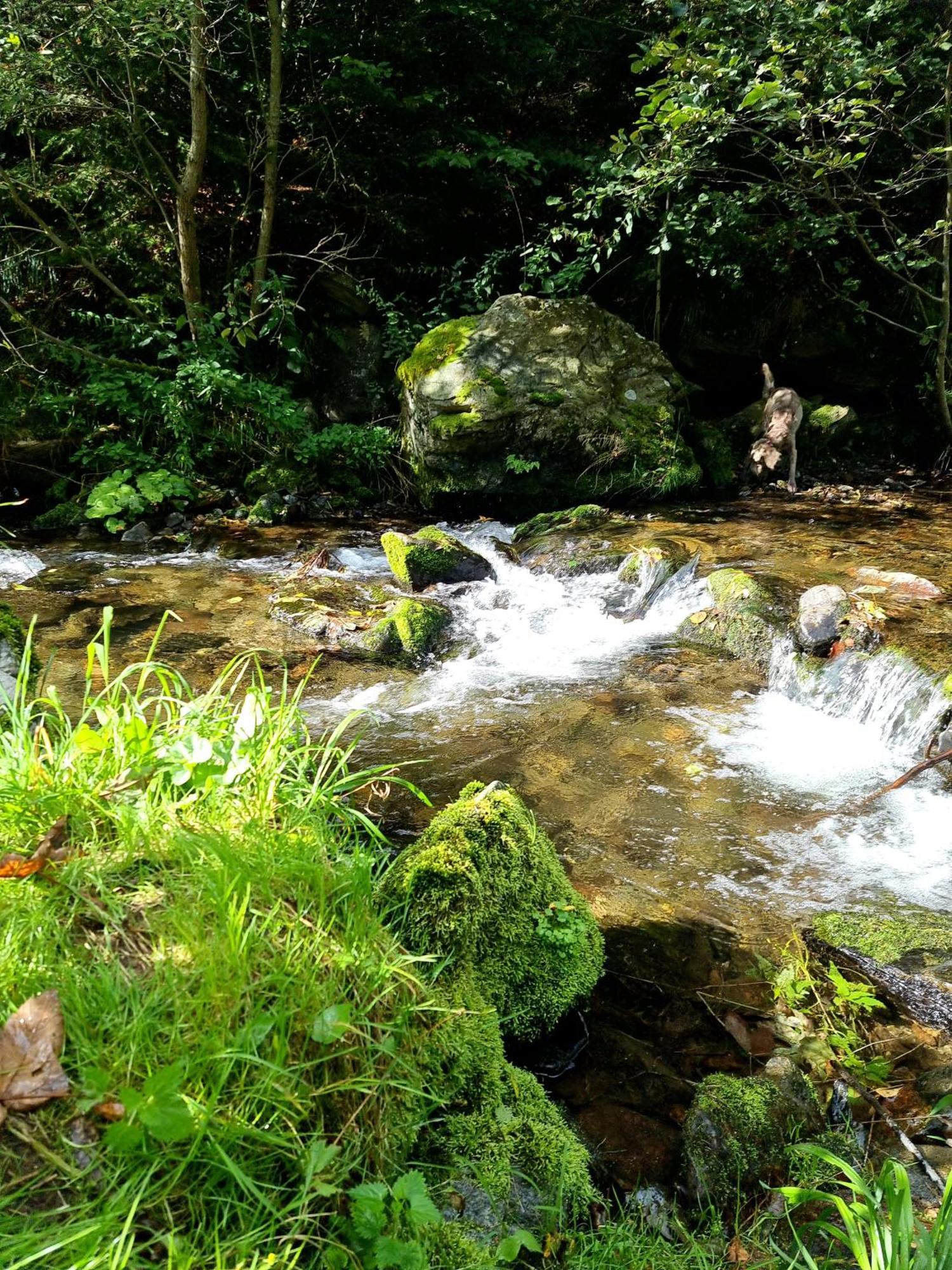 Roubenka Mlyn U Skaly Destne V Orlickych Horach Volne Terminy 5 Bytu Extérieur photo