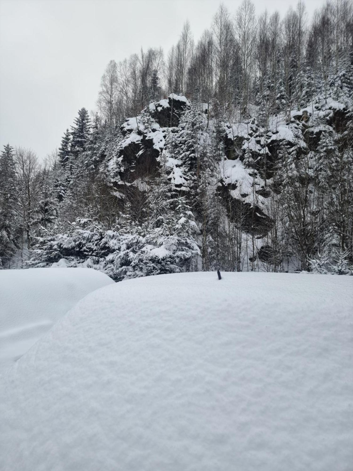 Roubenka Mlyn U Skaly Destne V Orlickych Horach Volne Terminy 5 Bytu Extérieur photo
