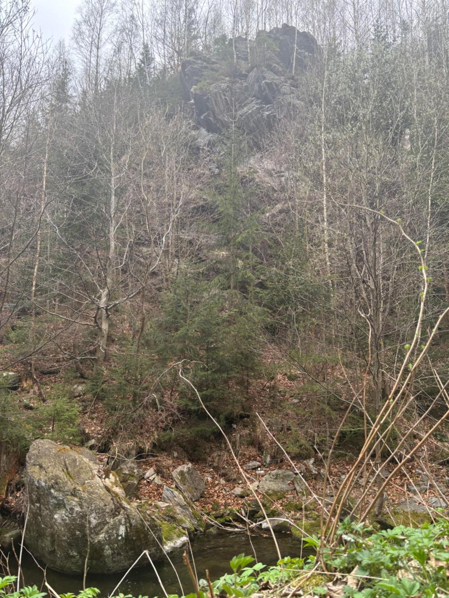 Roubenka Mlyn U Skaly Destne V Orlickych Horach Volne Terminy 5 Bytu Extérieur photo