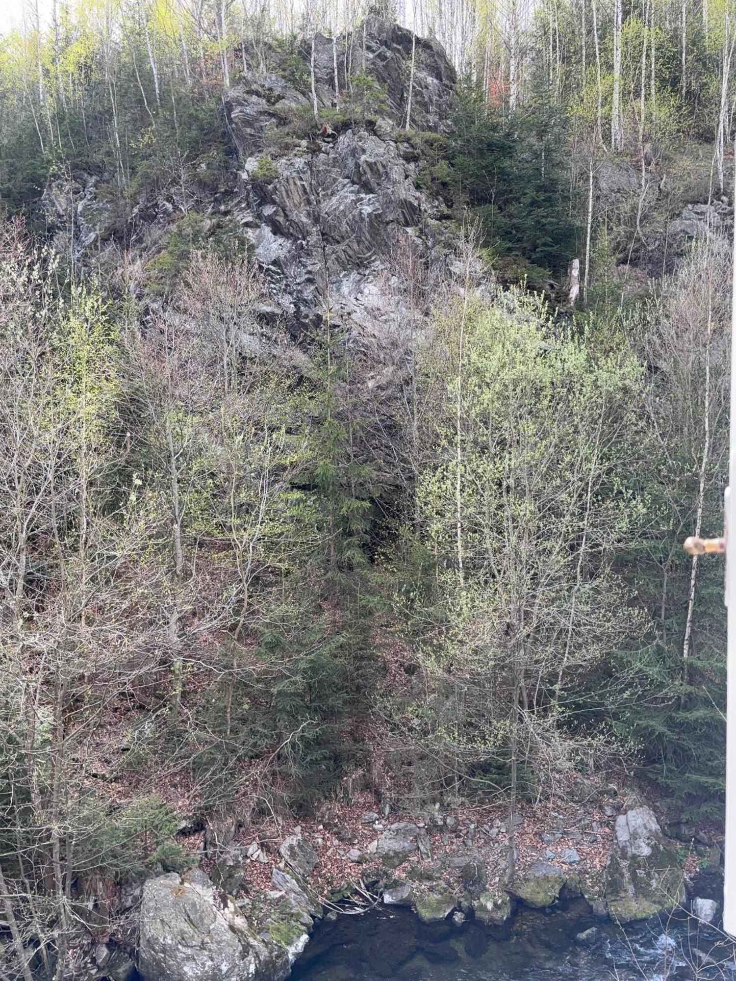 Roubenka Mlyn U Skaly Destne V Orlickych Horach Volne Terminy 5 Bytu Extérieur photo