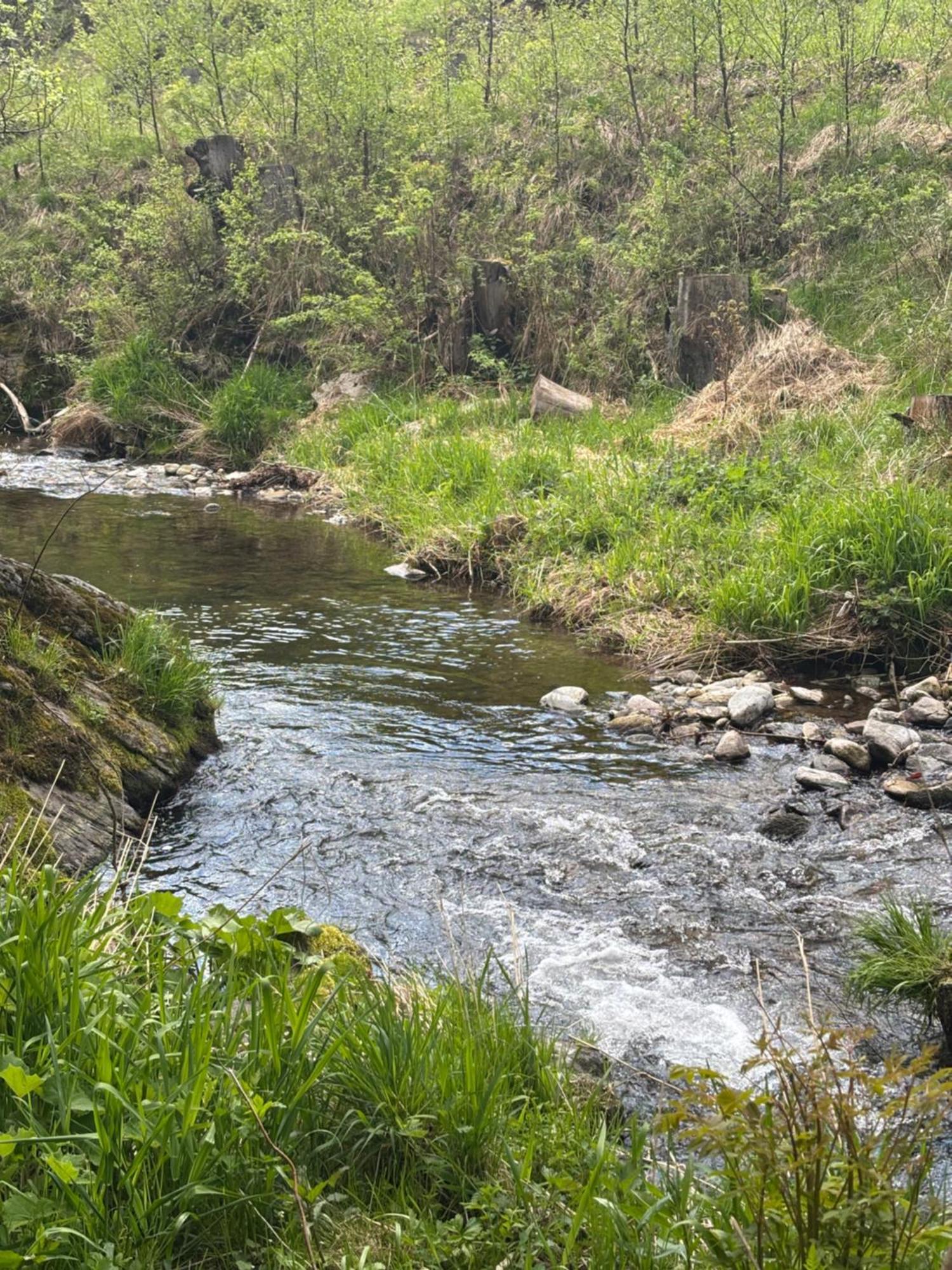 Roubenka Mlyn U Skaly Destne V Orlickych Horach Volne Terminy 5 Bytu Extérieur photo